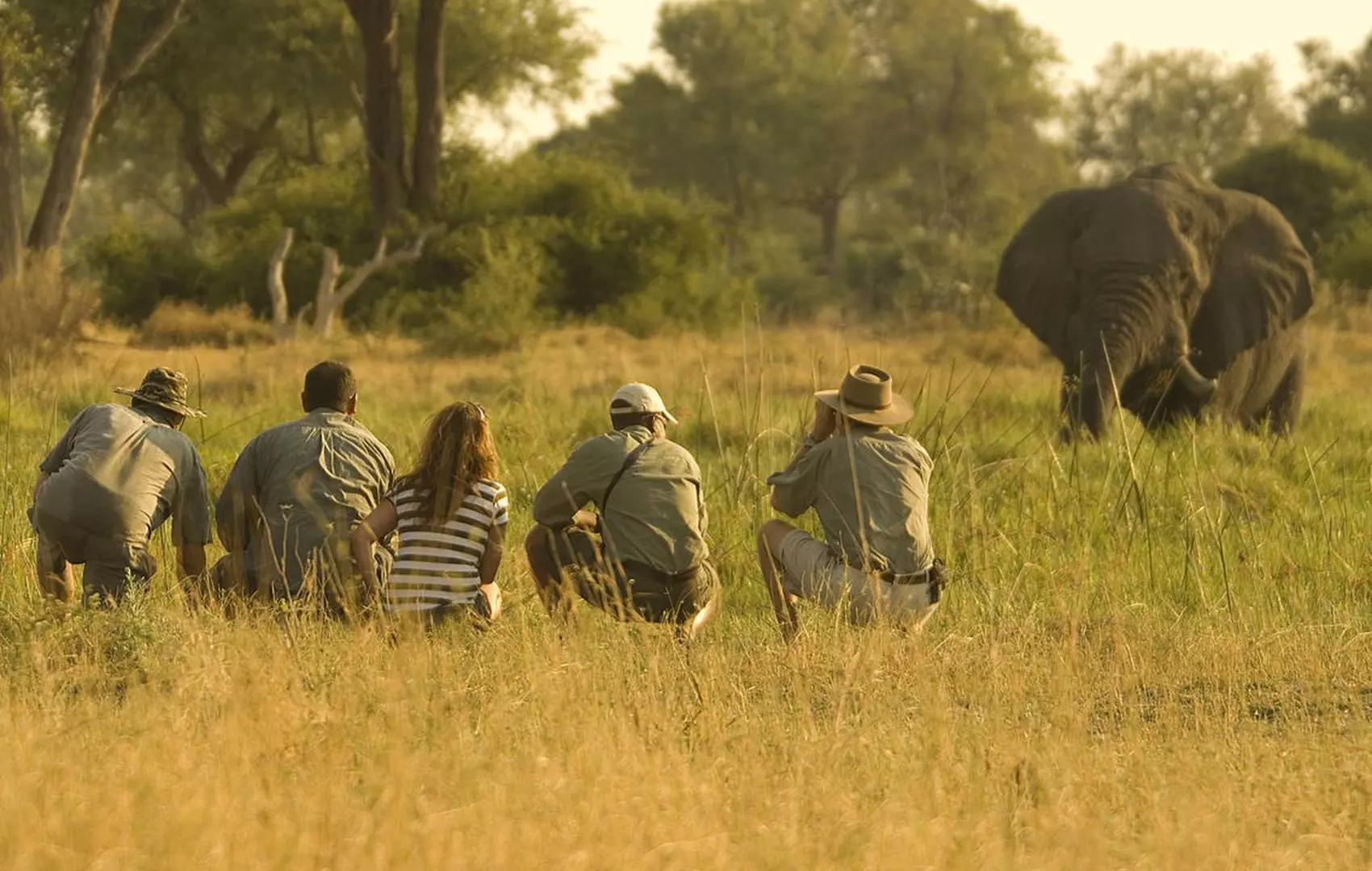 botswana walking safaris