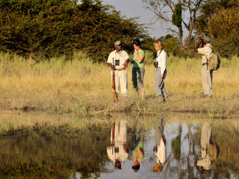 Zimbabwe Walking Safaris