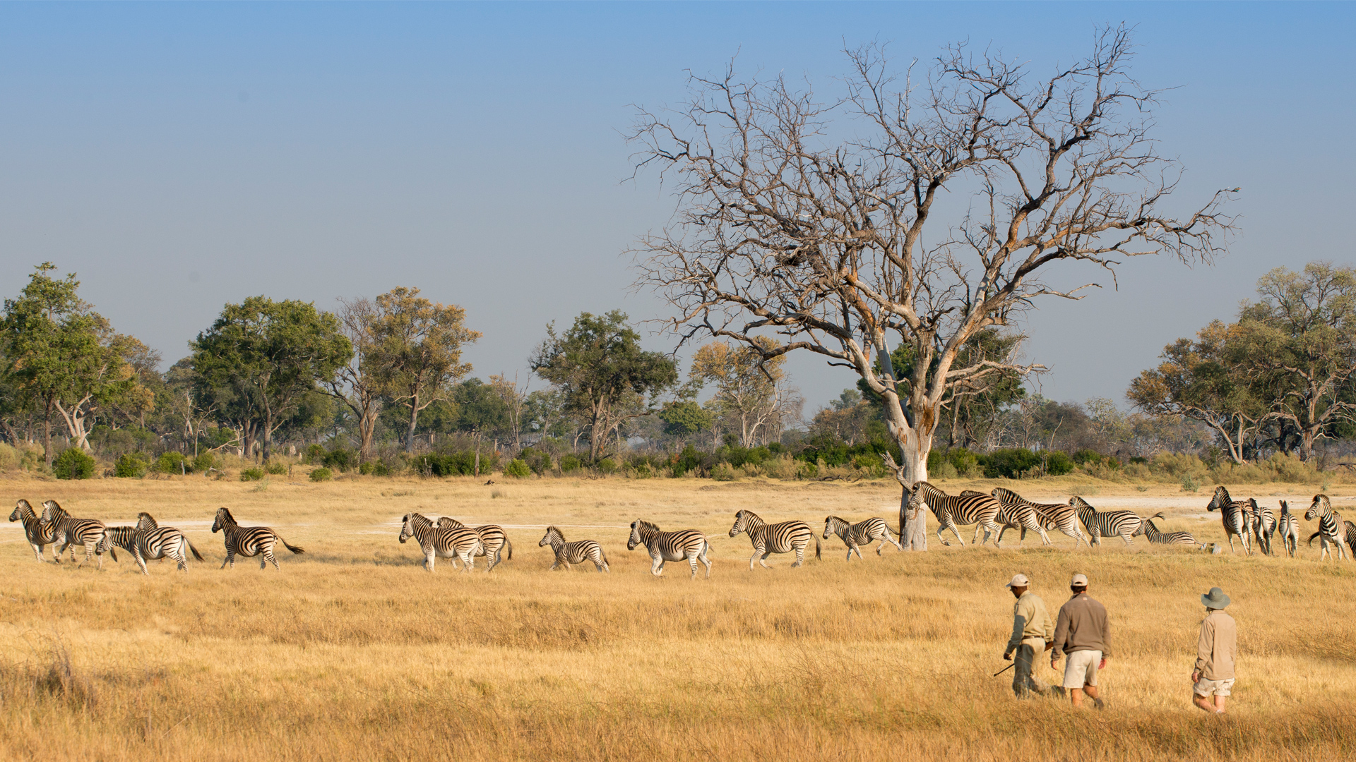 5-Day Victoria Falls and Chobe Safari
