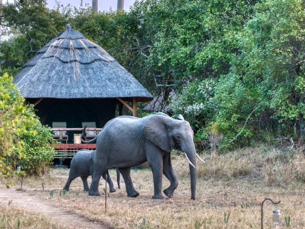 Why Should I Visit Katavi National Park?